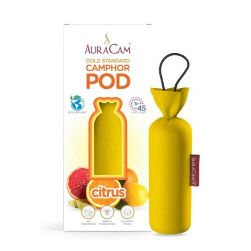 AuraCam Gold Standard Camphor Pod/Camphor Cone (Citrus) - Set of 2 - Camphor Pod Air freshener For Room, Car, Bathroom, Office & Toilet | Long-Lasting Camphor Cone for Home