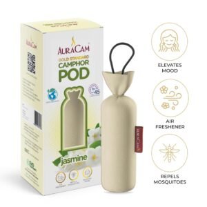 61YyaPQPBKL._SL1080_