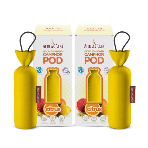 AuraCam Gold Standard Camphor Pod/Camphor Cone (Citrus) - Set of 2 - Camphor Pod Air freshener For Room, Car, Bathroom, Office & Toilet | Long-Lasting Camphor Cone for Home