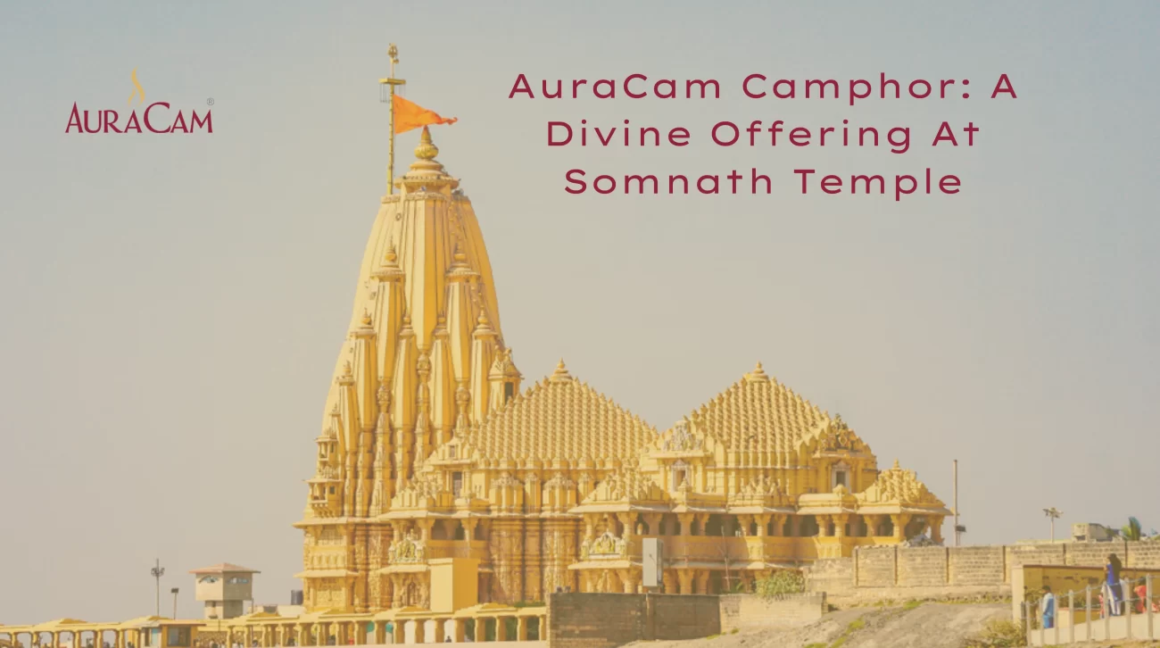 AuraCam Camphor A Divine Offering At Somnath Temple