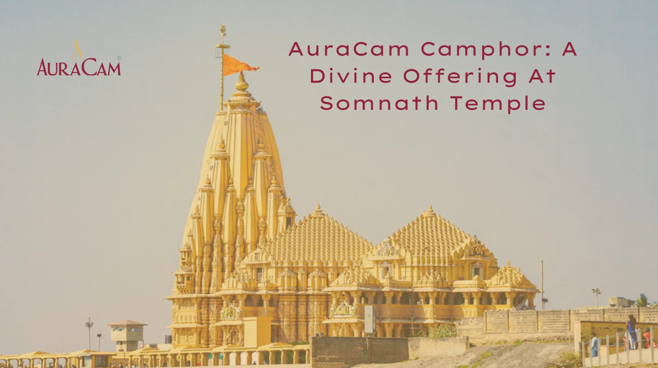 AuraCam Camphor A Divine Offering At Somnath Temple