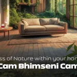 Bhimseni Camphor for Your Home