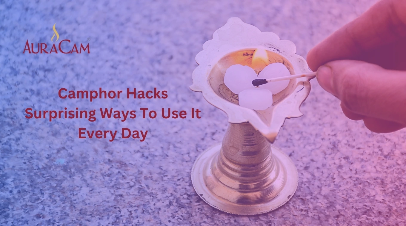 Camphor Hacks