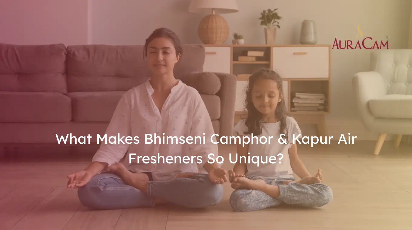 Bhimseni Camphor & Kapur Air Fresheners