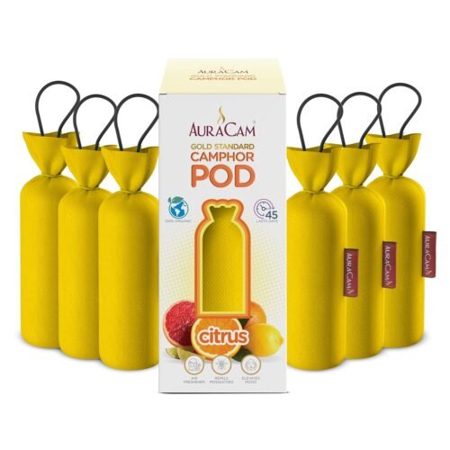AuraCam Gold Standard Camphor Pod/Camphor Cone (Citrus) - Set of 6