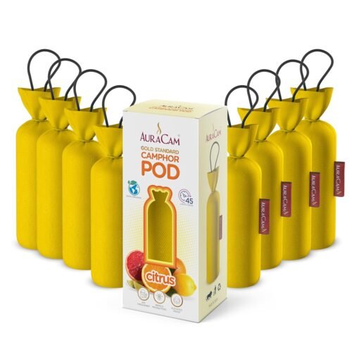 AuraCam Gold Standard Camphor Pod/Camphor Cone (Citrus) - Set of 8