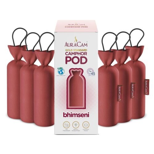 AuraCam Gold Standard Camphor Pod/Camphor Cone (Bhimseni) - Set of 6