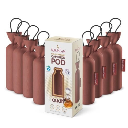AuraCam Gold Standard Camphor Pod/Camphor Cone (Oudh) - Set of 8