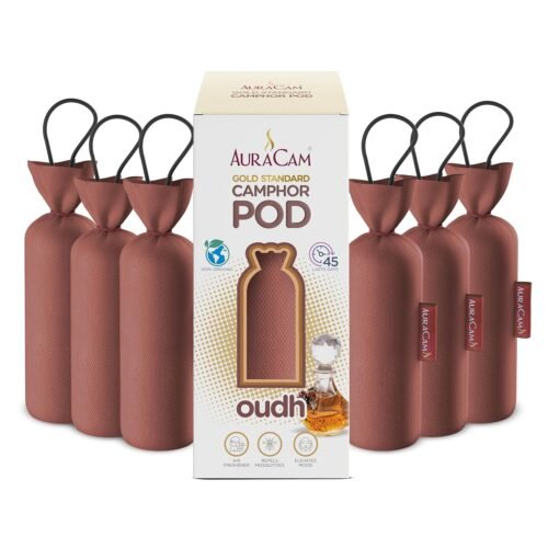 AuraCam Gold Standard Camphor Pod/Camphor Cone (Oudh) - Set of 6